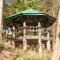 Mae Chan Treehouse with swimming pool
