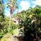Color Garden - Studio Martinique