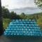 Greenleas, Cottage, Swimming Pool and Log Fire