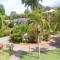 Color Garden - Studio Martinique