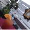 The Rooftop Hostel