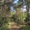 Forest House, Tiidu