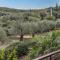 Amazing Home In Passignano Sul Trasime With Outdoor Swimming Pool, 5 Bedrooms And Wifi