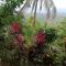 The balcony of the camiguin island - Mambajao