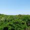 Zimbali Getaway For You And Loved Ones, Sleeps 6 - Ballito