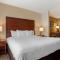 Comfort Suites Foley - North Gulf Shores - Foley