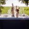 Luxus Familienvilla mit Jacuzzi & Sauna 2