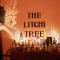 The Litchi Tree Amber Mountain Boutique Hotel