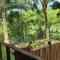 Sumatra Cheeky Monkeys