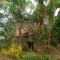 Chole Mjini Treehouses Lodge - Utende