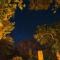 Chole Mjini Treehouses Lodge