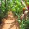 Namaste Yoga Farm - Gokarna