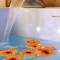 Vanadis, Suites dexceptions & spa - LE BALNEO