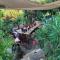 Ikaria View Resort and Villa with Pool - Arethousa