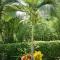 Finca Milandia