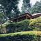 Bwindi Forest Lodge