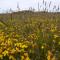 The Workshop- Eco Cottage by the Coastal Path - Goodwick