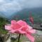 Green Mountain Homestay - Birthi Falls near Munsyari
