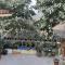 Kusuman Homestay