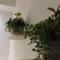 Zaro Suites B&B