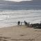 Driftmark Beachfront location Aberavon Beach Sea Views Large Driveway parking private site fibre optic wi fi - Port Talbot