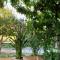 B&B La Fucinaia Pet Friendly Adults only