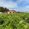 Cabaña Nueva en Ancud Chiloe - Ancud