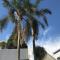 Aluve Guesthouse