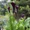 The Nettle and Fern Farmstay - Pelling