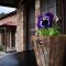 Paliokastro Guesthouse