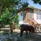 Horse Cottage