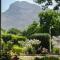 The Olive Tree
