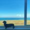 18 Coastline apartment - 纽基