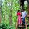 Adrak Mountain Mist Forest Resort