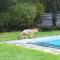 Lodge Tenis Pucon cl