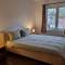 Avram Iancu Private Apartment with AC