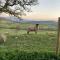 Cosy Arts & Crafts Cottage with stunning views - Brecon