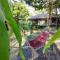 Blanco Hostel Lanta 18 to 35 - 高兰