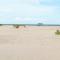 PahaliMzuri Kijani - 1 Bedroom Beach Apartment with Swimming Pool
