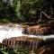 Siem Reap Homesteading II