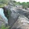 Wild Trails Yala by Suri Wild Trails Yala by Suri