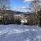 Disney Magic at Jiminy Mountain