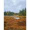 Holiday Home Sallan lumous a by Interhome - Salla