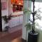 Bed and Breakfast M Jasmin