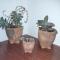 Apartamento en Colonia