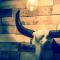 Balistyle guesthouse incl Hottub near Amsterdam and Haarlem - Velsen-Zuid