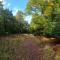 The Beehive - Self catering in the heart of the Forest of Dean