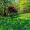 Catskills Enchanted Forest