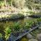 Bunbury Fruit Ranch B&B