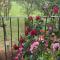 suite with terrace and loft with garden in Milan naviglio pavese